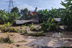 WhatsApp-Image-2023-05-03-at-09.56.53