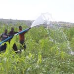 Abahinzi barataka igihombo baterwa n’imashini zuhira imyaka zipfa ntizisimbuzwe