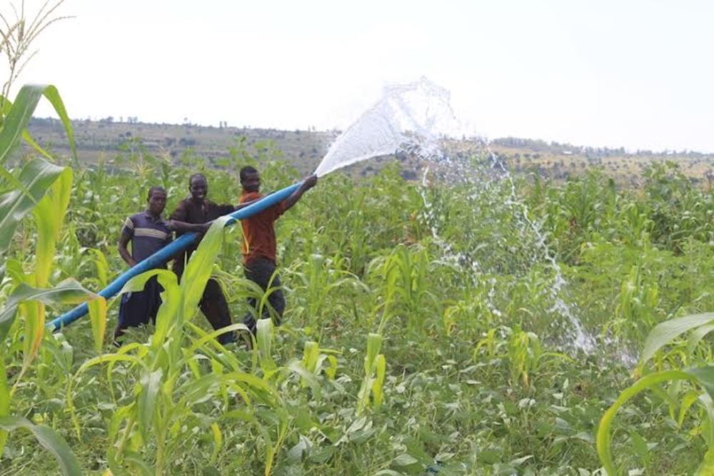 abaturage-24-2-7795f