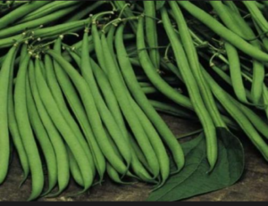 imiteja